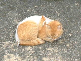 photo_2002_05_19_m.JPG