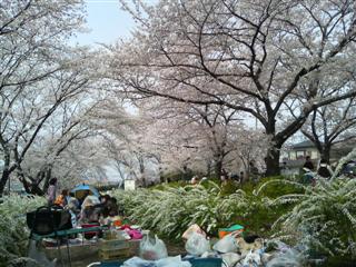 photo_2006_0409_134155AA.JPG