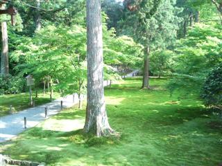 photo_2006_0618_163922.JPG