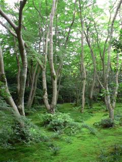 photo_2006_0716_141036.JPG